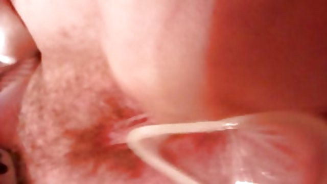 En iyi porno hiçbir kayıt Tüylü kedi ve nokta güzellik için hazır porno losinj uzun bir ilişki